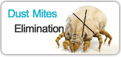 Dust Mites Elimination